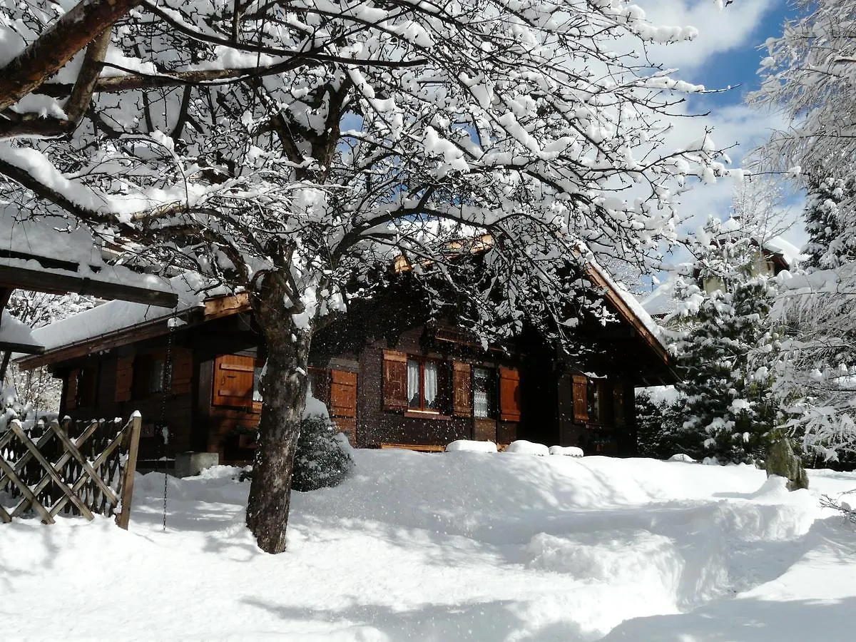 Chalet Des Glaciers Chamonix